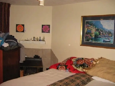JUNE 1ST 2 BDRM BSMT SUITE AVAILABLE IN QUIET MATURE SOUTHSIDE Image# 6
