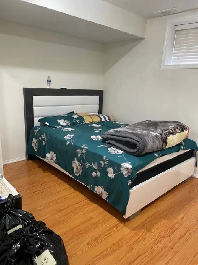 Basement for rent Image# 3