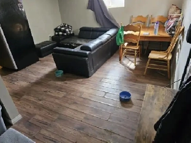 Roommate wanted Penbrook $700 All In Image# 1