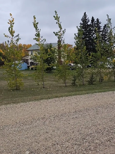Large Acreage For Sale In Saskatchewan Image# 3