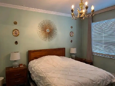 Fully furnished lower duplex with a beautiful garden for rent Image# 1