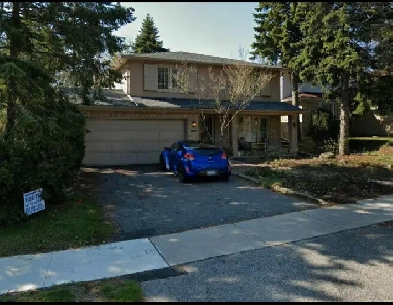 Seneca College Room for Rent Image# 7