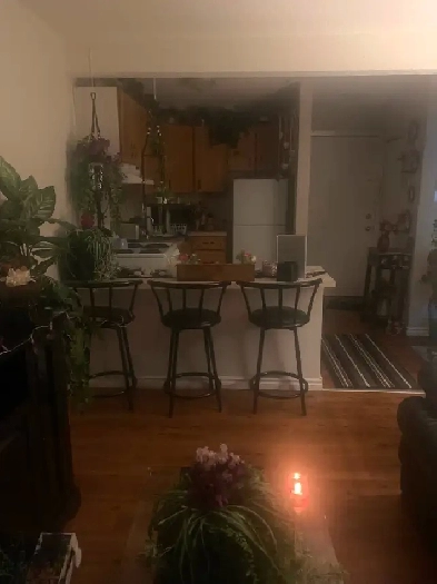 One year lease take over with security deposit paid Image# 1