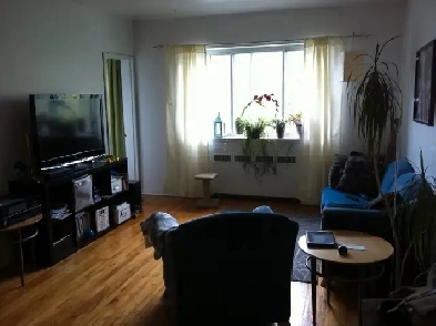 BEAU grand 4½,CDN, près HEC, Ste-Justine, 1ER JUILLET Image# 8