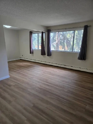 Apartment for Rent $975 Image# 6