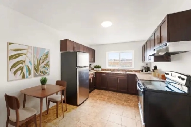 Newly Renovated 1 Bedroom Apartment for Rent! Image# 1