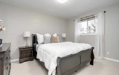 Cent Cobourg 2 lrg, priv, furn rms w laundry &prking Jun/Jul Image# 8