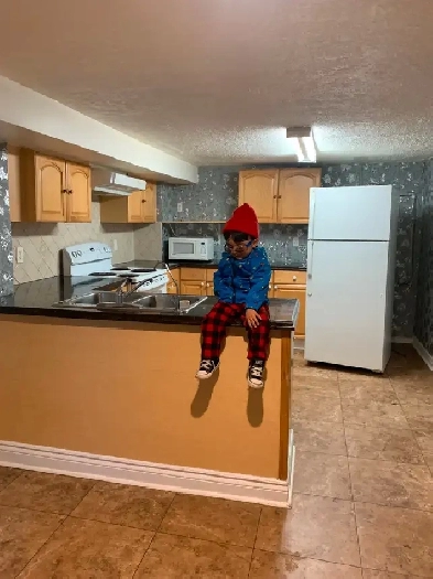 One Bedroom Apartment Image# 1