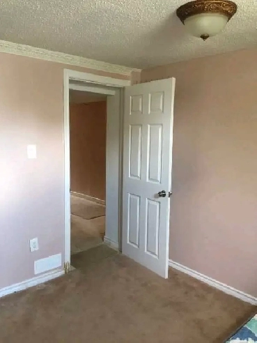 Room for Rent (Ideal location for the female students) Image# 2