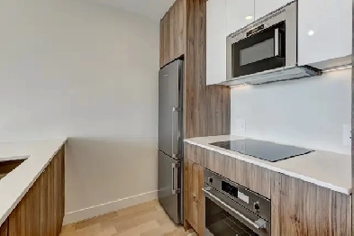 1 chambre/1 bedroom Monarc Condominiums Image# 1