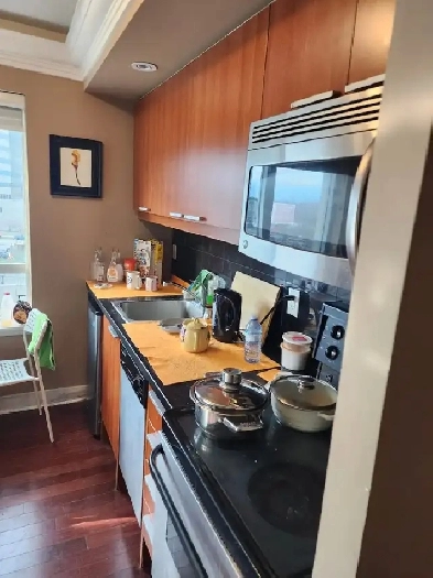 Condo/Studio Fully Furnished, Long/Short Term. Yonge & Sheppard Image# 5