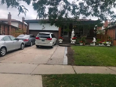 Large basement rooms for Girls only. Malton Image# 1