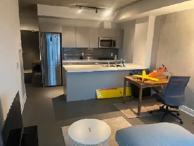 Amazing spacious 1 bedroom condo downtown (Queen West) Image# 3