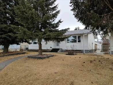 Bungalow 3 1 Bedroom/ Detached Heated Garage Image# 5