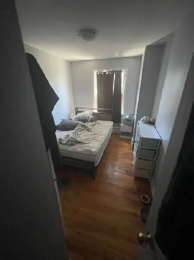 Room in bedroom for sublet June 1st Image# 3