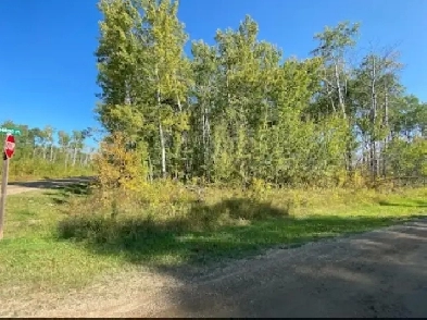 Build Your Dream Home in Clear Lake! Image# 1