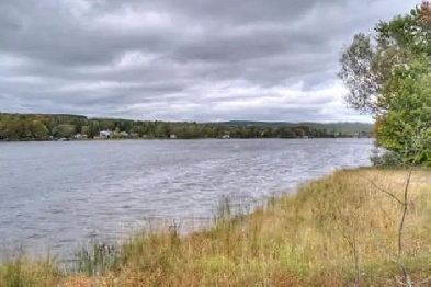 Beau grand 31/2 rénové près du lac Aylmer Disraeli Image# 1