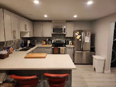 Basement Suite in Abbeydale Image# 9