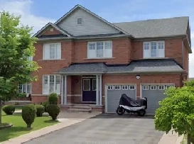 Walkout 2 bedroom basement apartment for rent. Image# 1