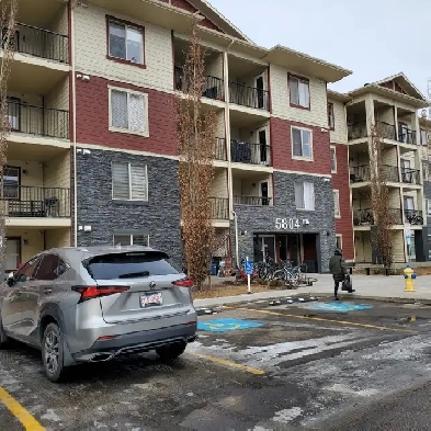 2 Bdrm  Den 2 Parking Apartment for rent in July Image# 3
