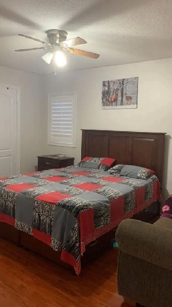 Private room for rent in Brampton - contact 2893320222 Image# 1