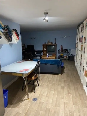 1 Bedroom Fully Furnished Basement Apartment Image# 1