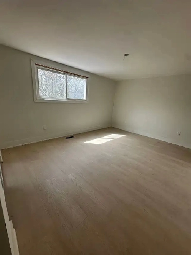 BEAUTIFUL ROOMS FOR RENT IN NEWMARKET - YONGE AND DAVIS Image# 1