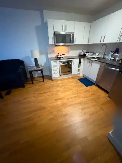 Entire 2 bedroom apartment available for rent $2250 Image# 4