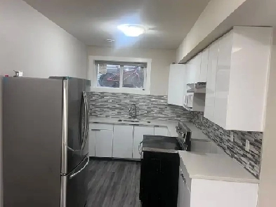 Basement for rent Image# 1
