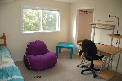 2 Furnished room 6 minute walk to Algonquin College Image# 1
