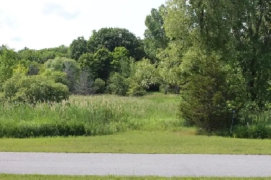 KNG Presents 2 Acre Building Lot on the Thousand Islands Parkway Image# 1