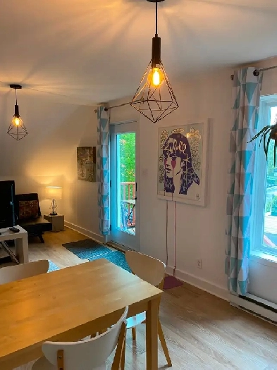 Appartement à louer à Bromont - 1 chambre 1 sdb Image# 1