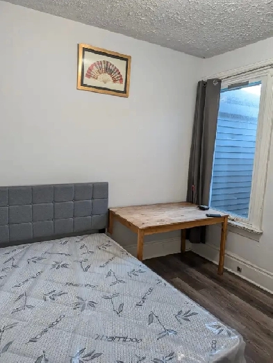 Toronto Downtown one room for $975 Image# 1