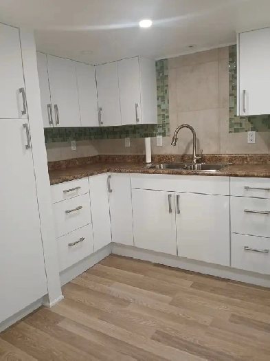 1 bedroom apartment for rent Image# 5