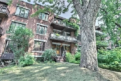Grand appartement avec cachet dans Outremont ! Image# 14