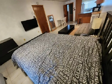 Location court terme 1200$ Studio Meublé  Métro LigneBleu Image# 1