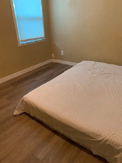 A room for rent Image# 1