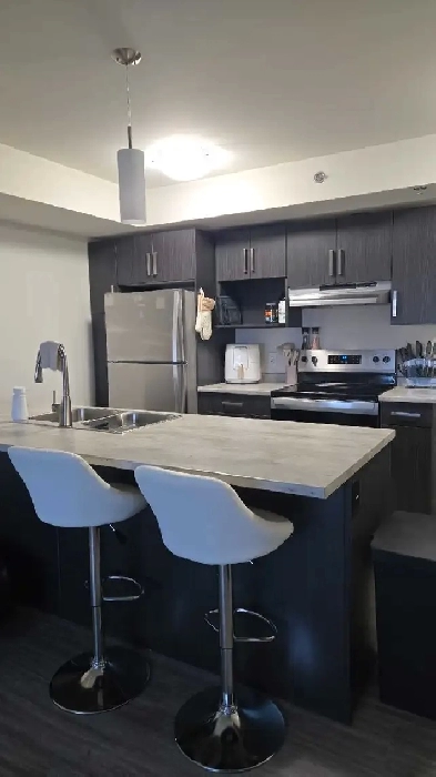 1 Bed 1 Bath Apartment Image# 6