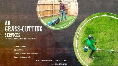 Grass cutting swevice - All areas in Winnipeg - Same Day Servi Image# 2