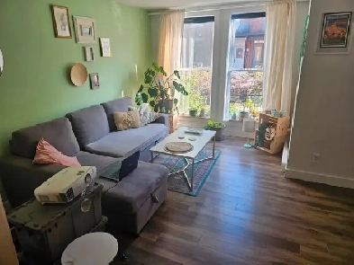 Grand 4 1/2 à Montréal - Quartier Plateau Mont-Royal Image# 1