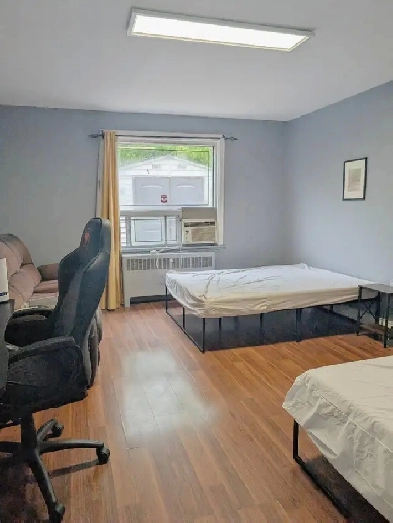 High Traffic Renovated Room in Victoria Park/St. Clair Image# 1