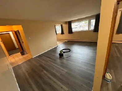 Large, Renovated 2 BDR Apartment Available June 2025. Image# 4