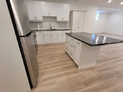 Large beautiful, bright, brand new 1 bdrm basement apartment Image# 1