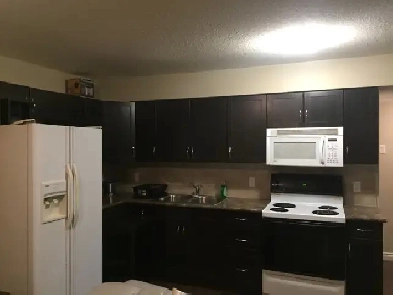 BASEMENT APARTMENT FOR RENT: TWO (2) BEDROOMS Image# 3