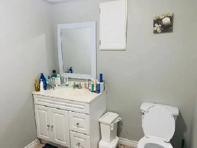 One bedroom Two level Basement apartment for rental Meadowvale Image# 1