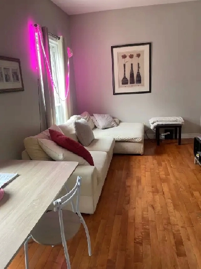 Ready June 1 st ! Cozy Downtown HFX Furnished Apt & Free Utiliti Image# 8