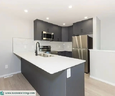 Stylish 1-Bed Garage Suite in Edgemont | A/C, Dogs Friendly Image# 3