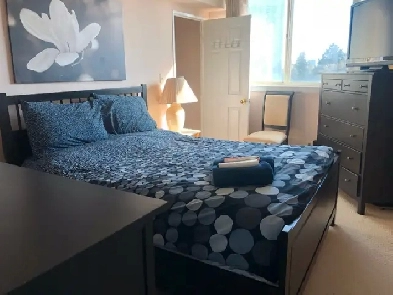Room for Rent | Scarborough | McCowan & Finch Image# 3