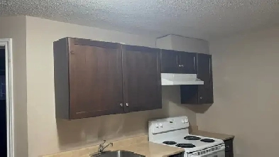 Basement Rent for FEMALE STUDENT/PROFESSIONAL LADY ONLY Image# 2