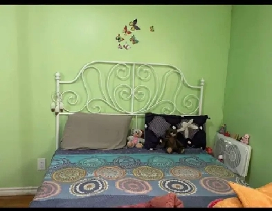 1 Sharing Room in Basement for two girls  Available Now Image# 1
